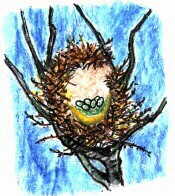 gezeichnetes Nest mit Eiern