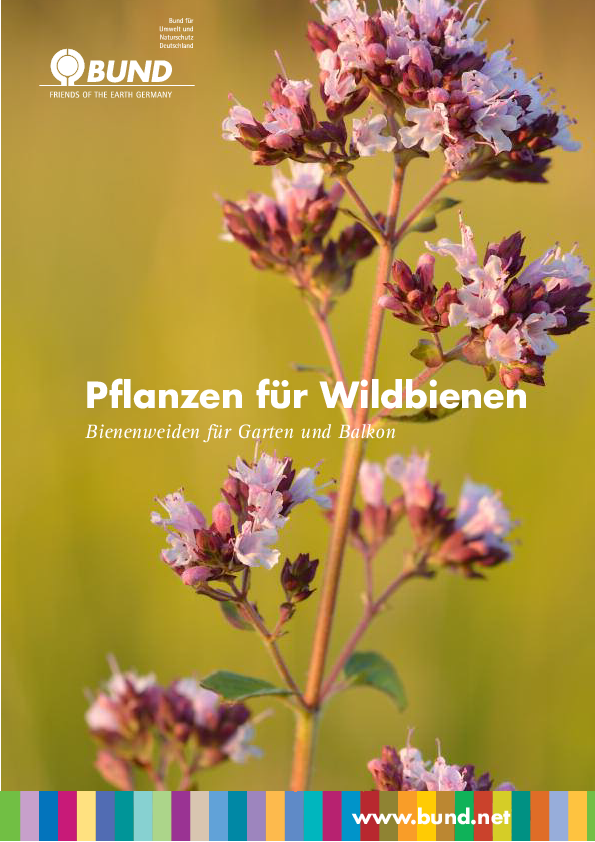 Broschüre „Pflanzen für Wildbienen“
