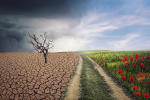 Symbolbild Klimawandel mit Dürre und Unwetter